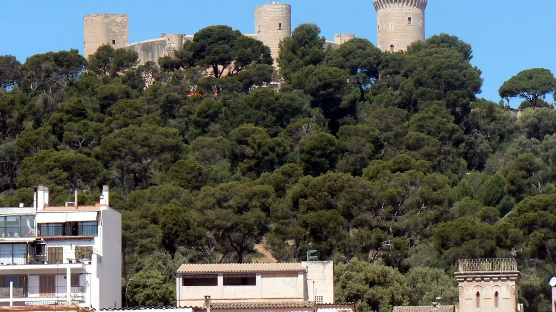 Guest house Hostal Terramar Palma de Mallorca